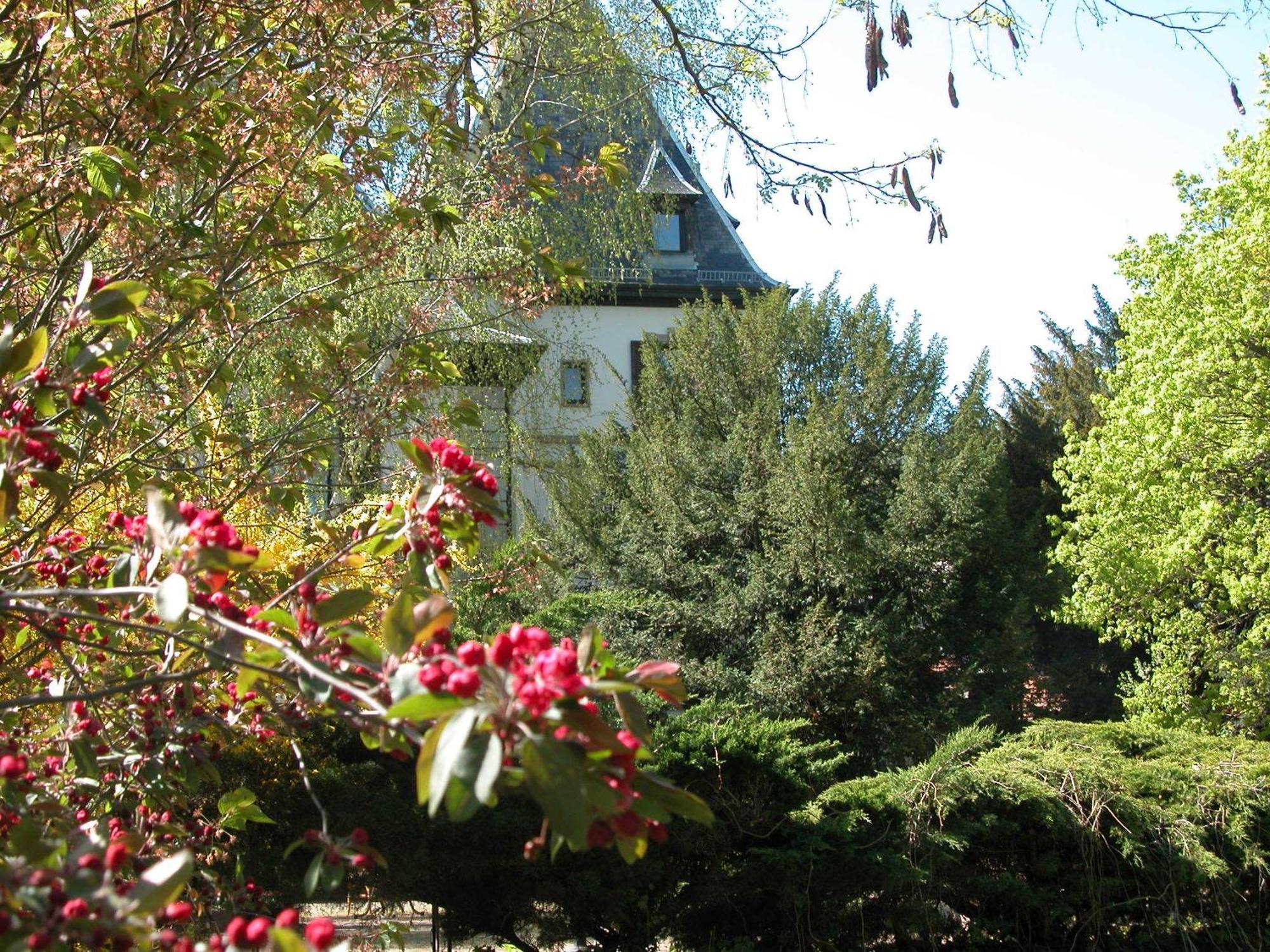 Domaine De Beaupre - Hotel The Originals Relais Guebwiller Exterior foto